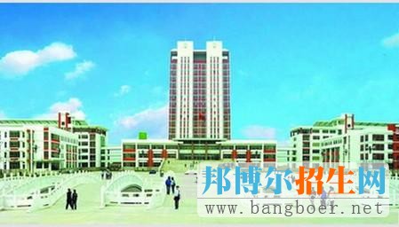 青島農(nóng)業(yè)大學(xué)海都學(xué)院校園一角7081