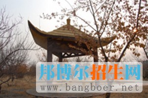 白城醫(yī)學高等?？茖W校校園一角5121
