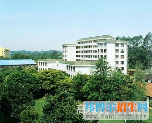 柳州師范高等?？茖W(xué)校校園一角486