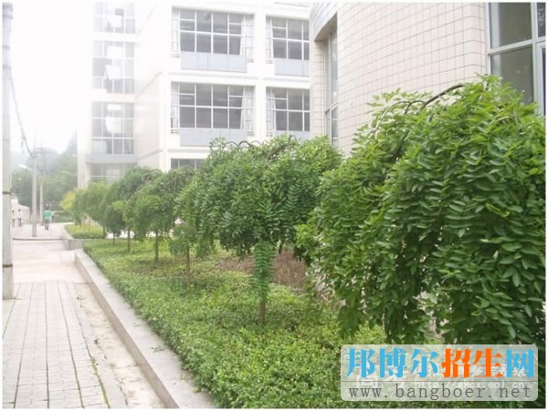 貴陽中醫(yī)學(xué)院時(shí)珍學(xué)院校園一角2976