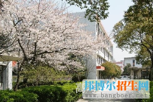 上海健康職業(yè)技術學院校園一角1520