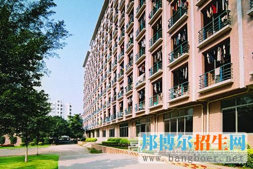 廣東輕工職業(yè)技術(shù)學(xué)院校園一角12959