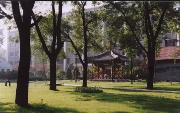 西北大學校園一角4119