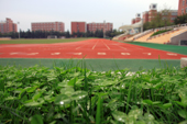 西安歐亞學院校園一角4886