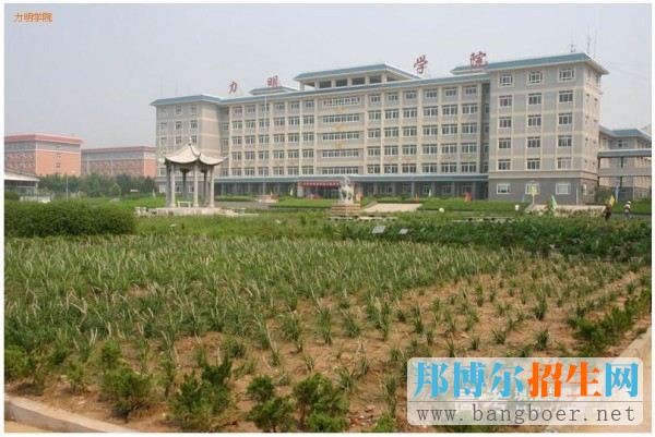 山東力明科技職業(yè)學院校園一角8103