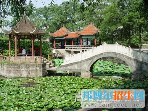 宜賓職業(yè)技術學院校園一角2723