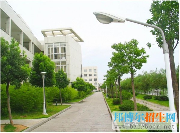 寧波大紅鷹學院校園一角4092