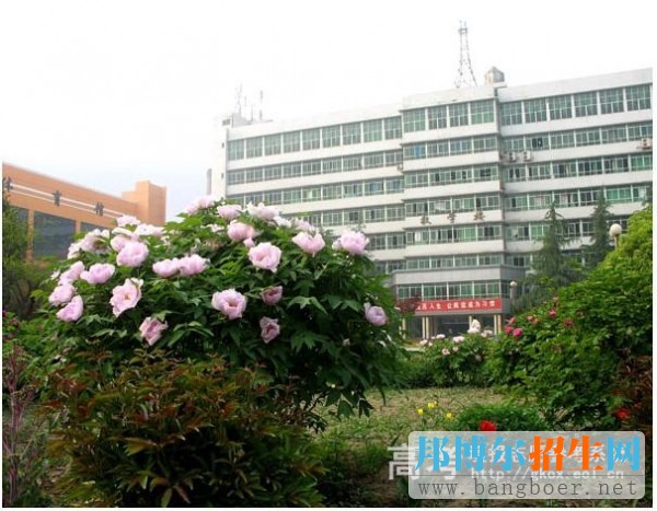 西安鐵路職業(yè)技術(shù)學院校園一角4656