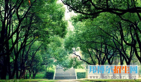 學校8
