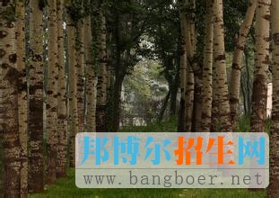 南開大學