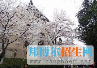 武漢大學