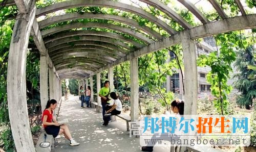 焦作大學校園一角10041