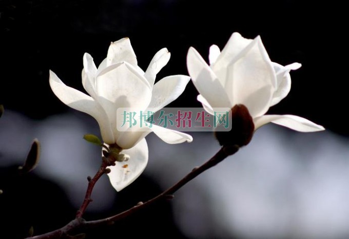 好點(diǎn)的財務(wù)管理學(xué)校