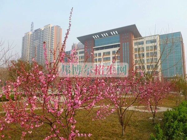 石家莊科技工程職業(yè)學院網站網址