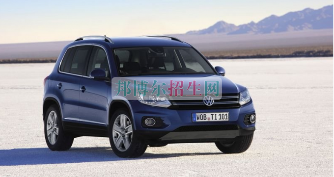 成都有哪些大專學校有汽車檢測與維修專業(yè)