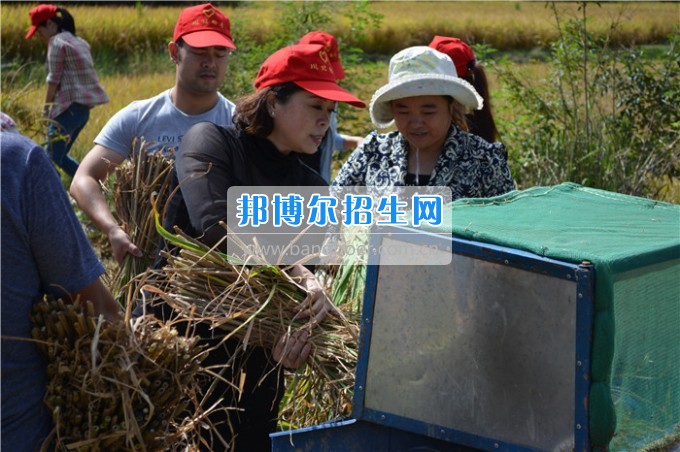 川北幼兒師范高等?？茖W(xué)校歲月積淀中的魅力女性