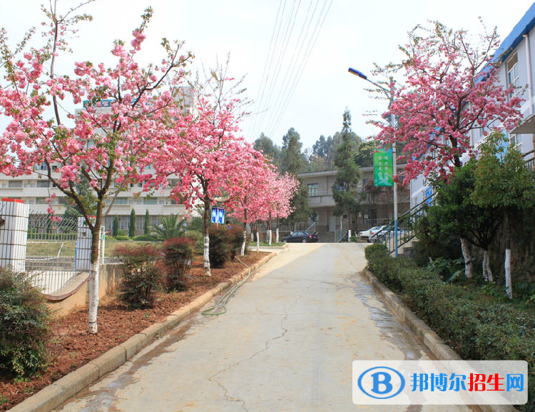云南省林業(yè)高級技工學校招生辦聯系電話
