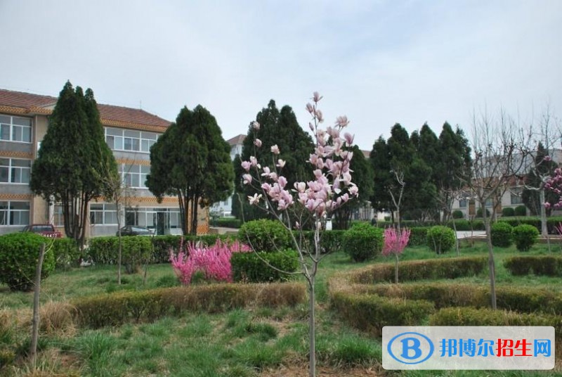 招遠(yuǎn)職業(yè)中等專(zhuān)業(yè)學(xué)校2018年報(bào)名條件、招生對(duì)象