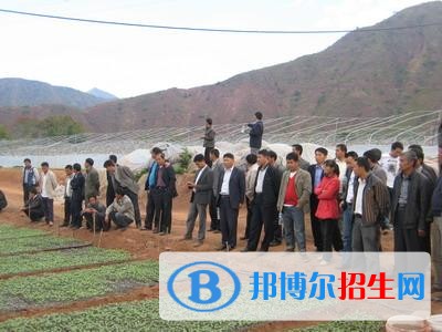 楚雄中專學校什么學歷