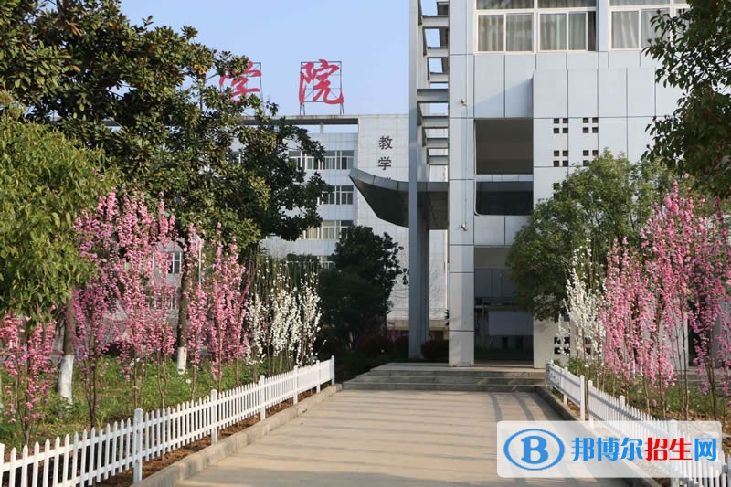 皖西衛(wèi)生職業(yè)學院2019年單招錄取分數(shù)線
