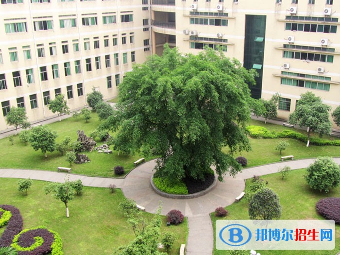 四川化工職業(yè)技術(shù)學(xué)院五年制大專(zhuān)學(xué)校地址