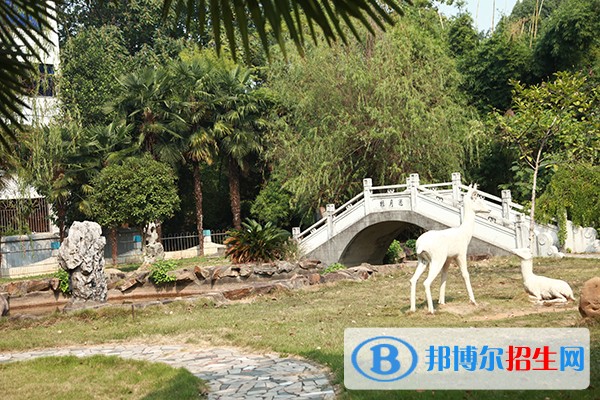 江西中醫(yī)藥高等?？茖W(xué)校2019年單招錄取分?jǐn)?shù)線