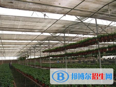 新疆生產(chǎn)建設兵團興新職業(yè)技術學院單招2019年單獨招生成績查詢、網(wǎng)址入口