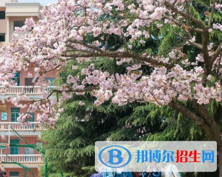 安順第三高級中學(xué)2019年報名條件、招生要求、招生對象