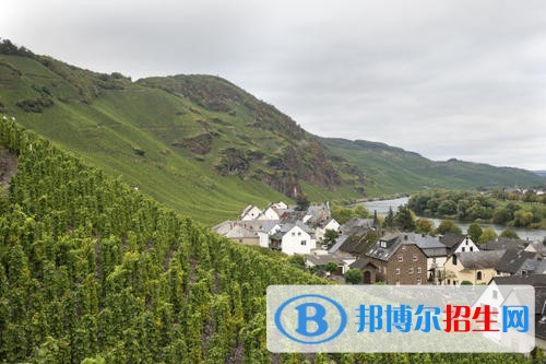福州科技職業(yè)技術(shù)學(xué)院單招2019年單獨(dú)招生成績查詢、網(wǎng)址入口