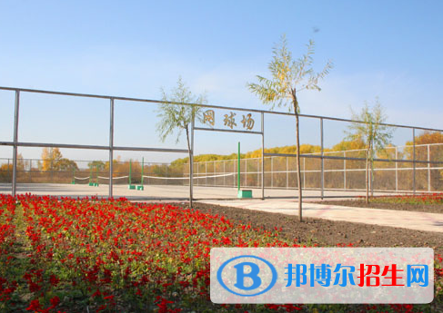 鶴崗師范高等?？茖W(xué)校單招2020年單獨招生報名時間、網(wǎng)址入口  