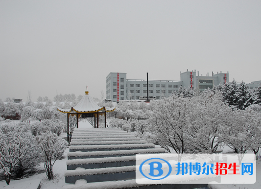 佳木斯職業(yè)學(xué)院?jiǎn)握?020年單獨(dú)招生成績(jī)查詢、網(wǎng)址入口 