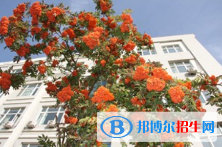 黑龍江生態(tài)工程職業(yè)學(xué)院單招2020年單獨招生報名時間、網(wǎng)址入口