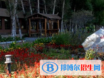佳木斯職業(yè)學(xué)院單招2020年單獨招生報名時間、網(wǎng)址入口  