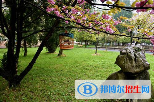 貴州林業(yè)學(xué)校2020年報(bào)名條件、招生要求、招生對(duì)象
