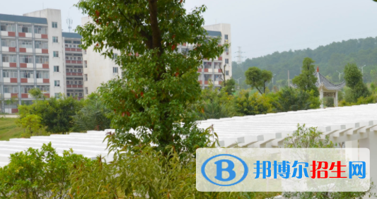 廣西賀州職業(yè)學院2020年報名條件、招生要求、招生對象 