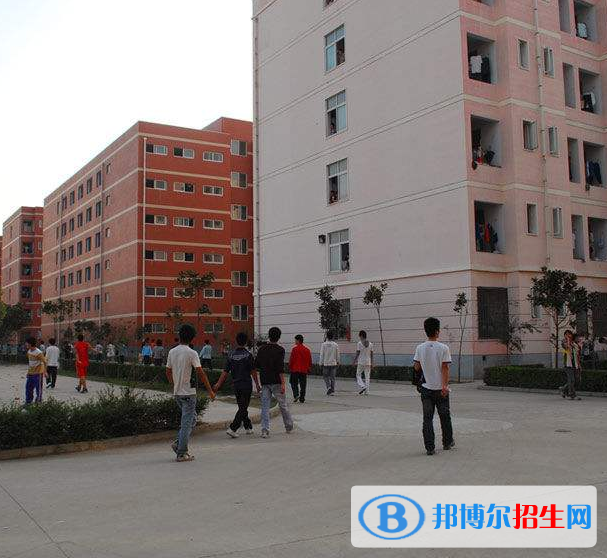 孟津職教中心2021年報名條件、招生要求、招生對象