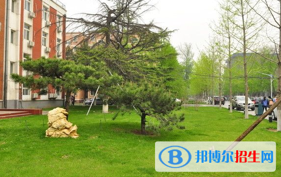 鄭州青年職業(yè)中等專業(yè)學校2021年報名條件、招生要求