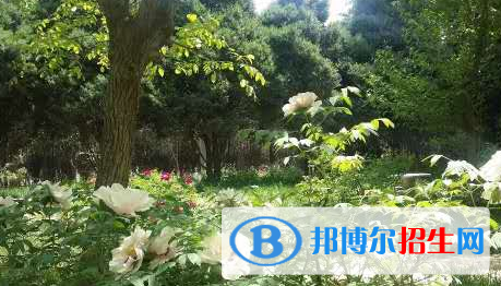 甘肅金城理工中等專業(yè)學校怎么樣、好不好