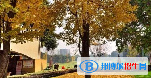 成都麓山國際光亞學(xué)校高中部