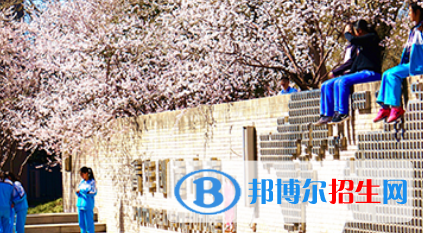 北京第一〇一中學國際高中部