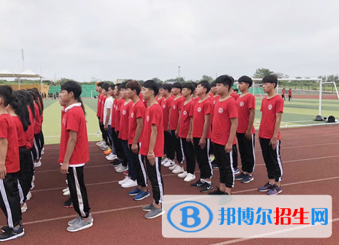 合肥高新科技學(xué)校2020年有哪些專(zhuān)業(yè)