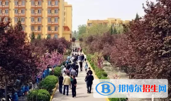 西安博愛國際學(xué)校網(wǎng)站網(wǎng)址