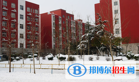洛陽華洋國際學(xué)校怎么樣、好不好