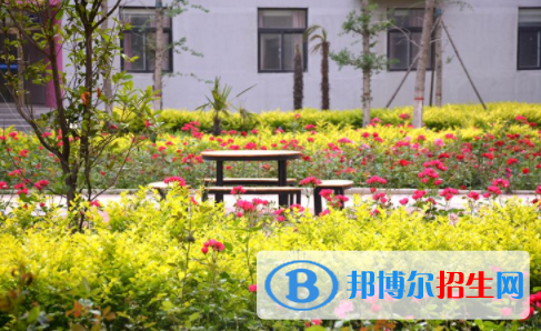 河南師大附中雙語國際學(xué)校2020年報名條件、招生要求、招生對象