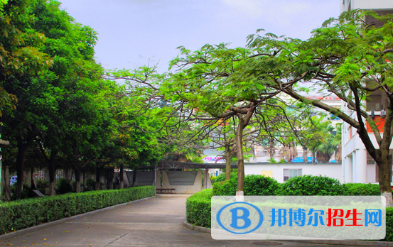 湛江湛港職業(yè)技術(shù)學(xué)校2020年報(bào)名條件、招生要求、招生對(duì)象