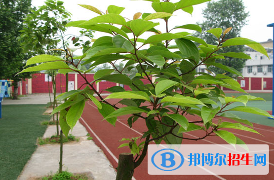 天問國際高中校長2020年報名條件、招生要求、招生對象