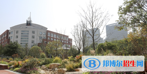 合肥潤安公學2020年招生計劃