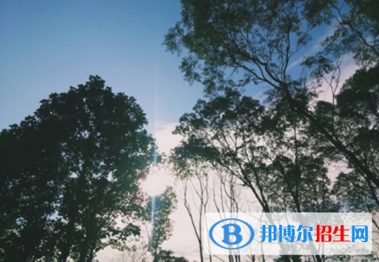 宜春幼兒師范高等專科學(xué)校單招2020年單獨(dú)招生報(bào)名時(shí)間、網(wǎng)址入口
