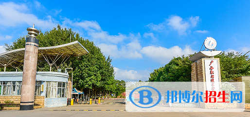 廣西職業(yè)技術(shù)學(xué)院2020年招生簡章