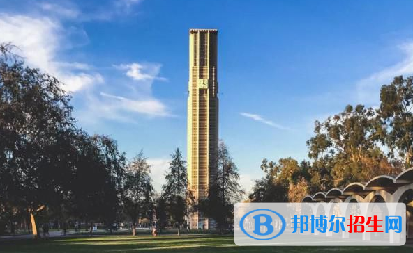 上海金蘋果雙語學(xué)校國際部2023年招生計(jì)劃